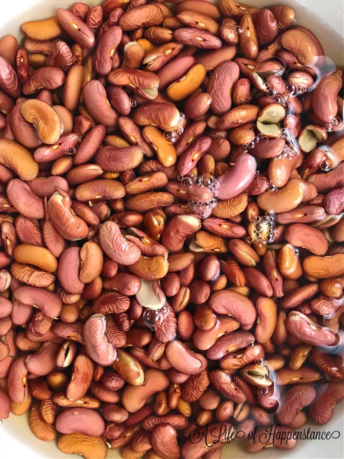 Instant Pot Ground Beef Chili (SCD, Gluten Free)